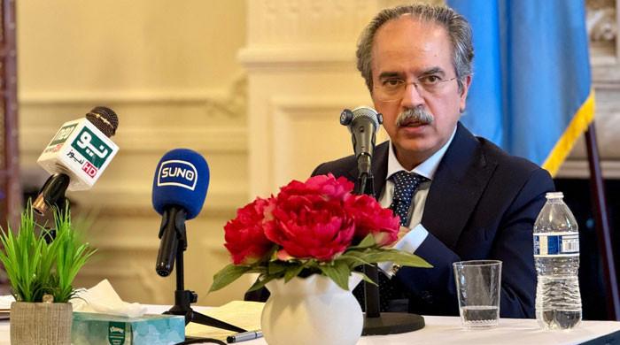 Implementing UN resolutions vital for regional peace, says Pakistan amid India tensions