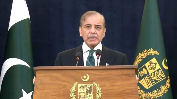 Pakistan paid in same coin which India knew very well, says PM Shehbaz after ceasefire