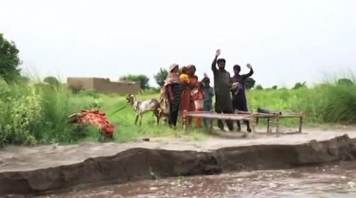 Stranded families eye aid as Sutlej flood submerges villages in Bahawalnagar