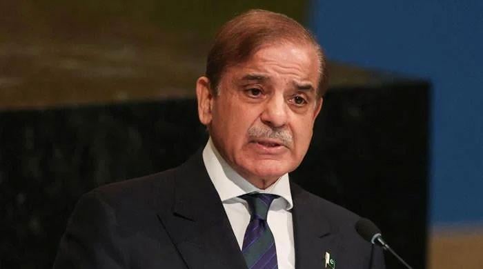 PM Shehbaz calls for formulating joint strategy to deal with climate crisis