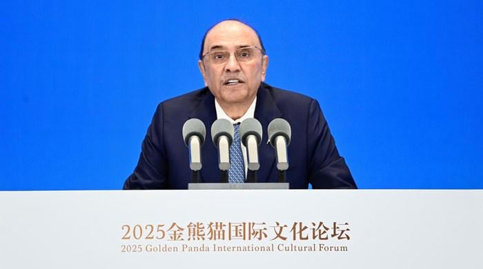 President Zardari reaffirms Pakistan’s full support for China’s vision of ‘mutual learning’