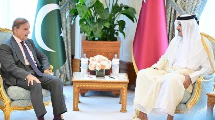 In meeting with Emir Sheikh Tamim, PM Shehbaz reaffirms support for Qatar
