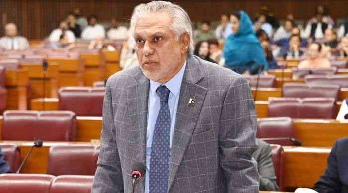 Trump’s 20-point Gaza peace plan ‘not ours’: DPM Dar