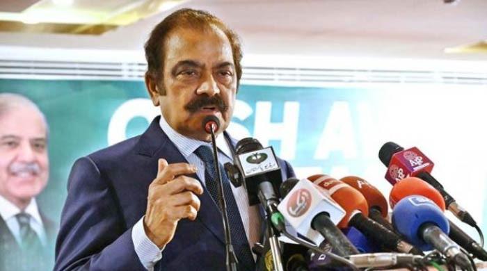 Top-level dialogue can resolve PPP-PML-N rift, says Sanaullah