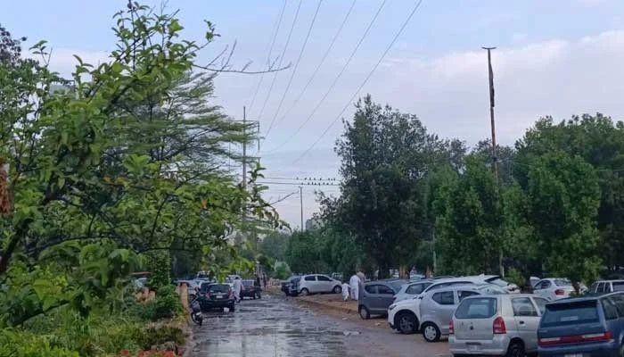 Weather turns pleasant as rain batters Karachi on Eid