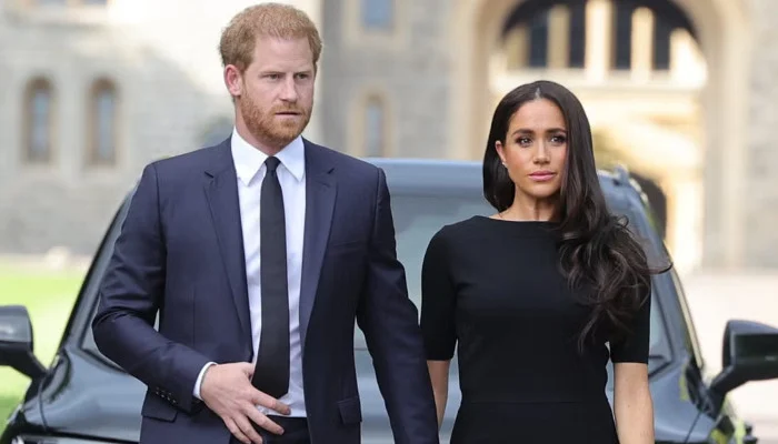 Prince Harry, Meghan Markle speak out on ‘private UK citizens’ snub