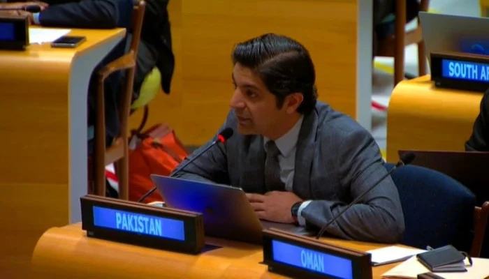 India sponsoring terrorism through proxies in Afghanistan, Pakistan tells UN